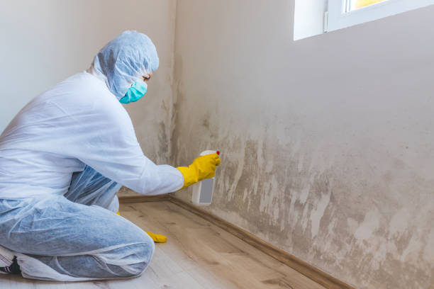 Mold Remediation specialist working in Belle Plaine